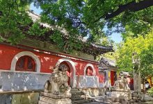 潭柘寺算命老太太哪里去找,北京算命高人都有谁-算命那点事