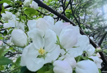 你好，我是追逐-算命那点事