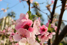 老天让你转运的征兆-算命那点事