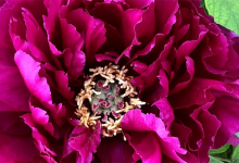 2024年9月搬家好日子大全,9月搬家入宅黄道吉日查询-算命那点事