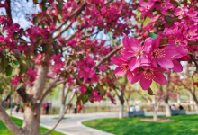 2022年6月搬家入宅黄道吉日查询,搬家吉日一览表-算命那点事