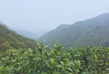 2021年5月搬家黄道吉日一览表，搬家入宅吉日查询-算命那点事